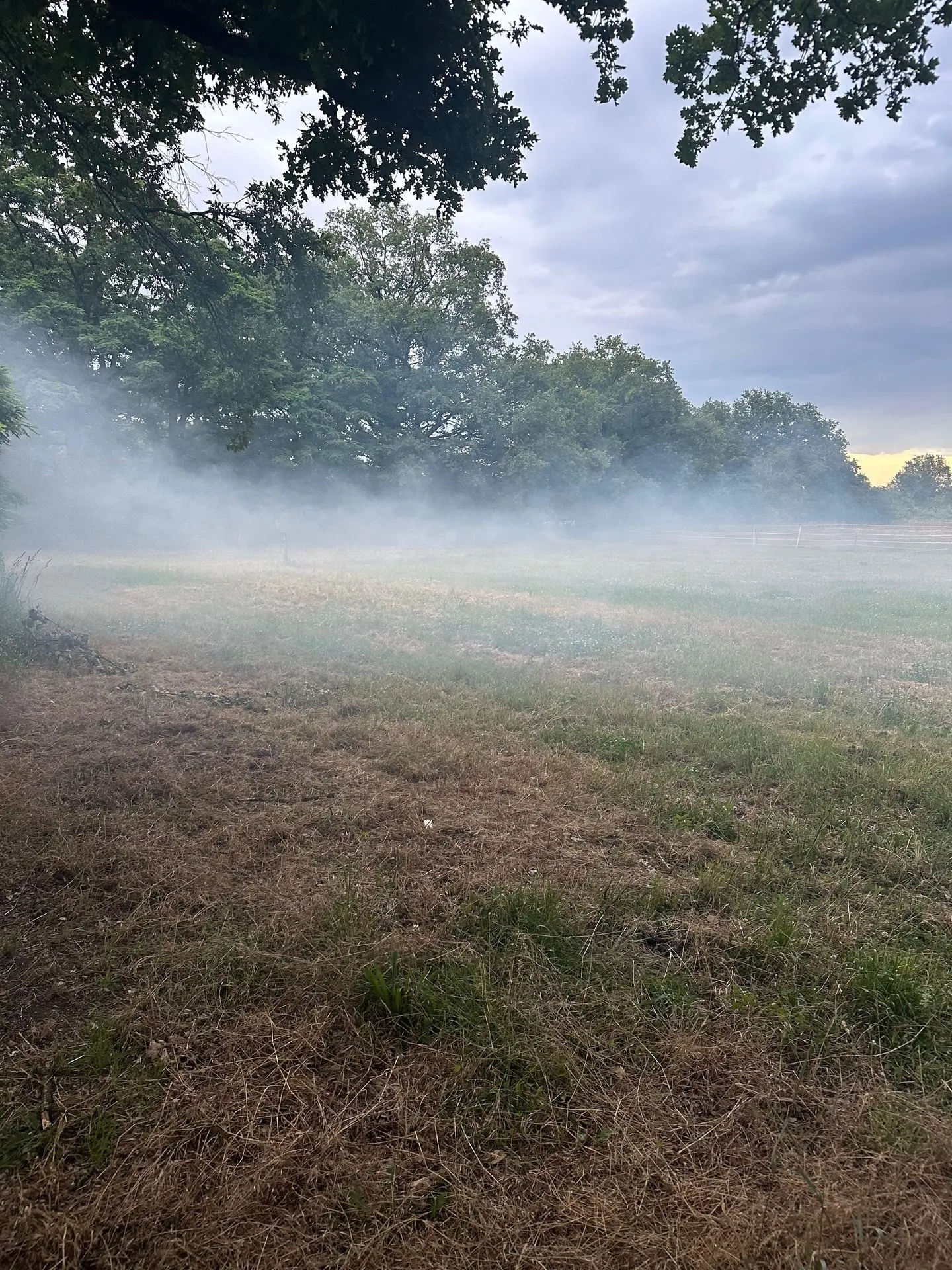 Bodennebel-Effekt für Eröffnung und Show-Entrances